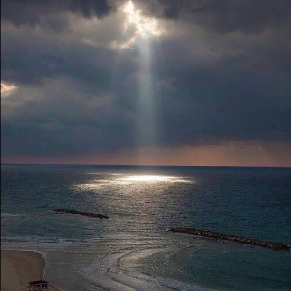 Meet your Posher, Mickey